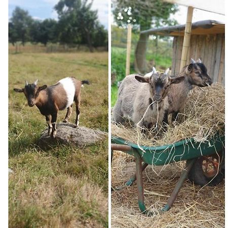 Le Domaine De La Petite Chevre Villa Ploumagoar Екстериор снимка