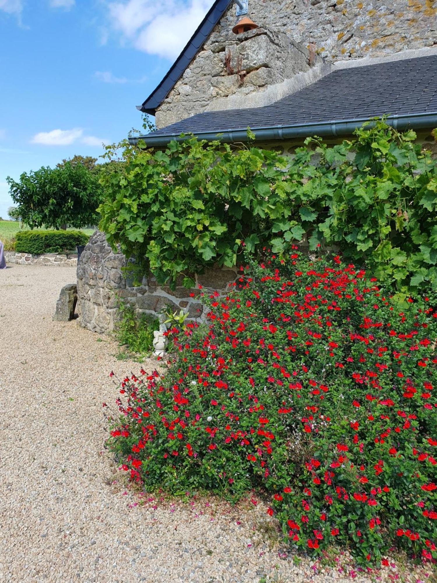 Le Domaine De La Petite Chevre Villa Ploumagoar Екстериор снимка